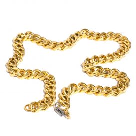 Guldfärgad halsband