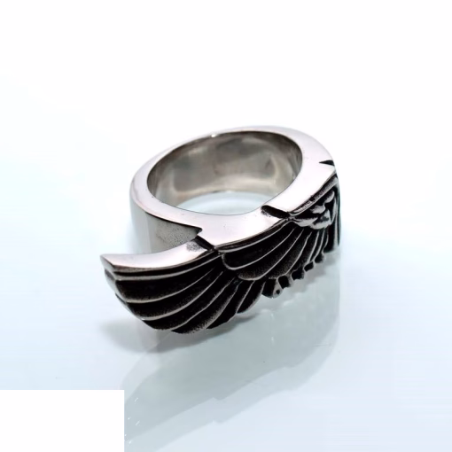 Rostfritt stål ring