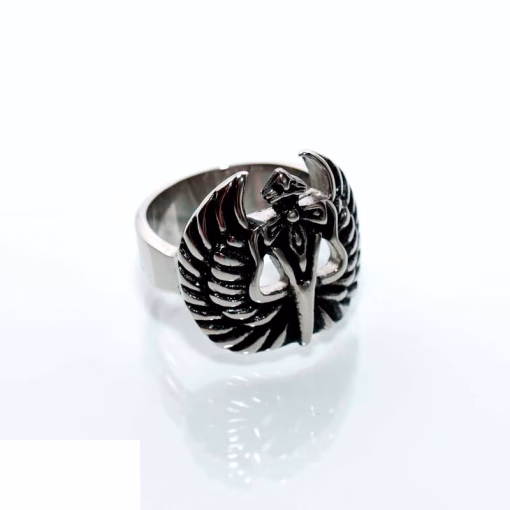 Rostfritt stål ring