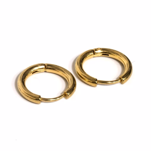 Gold colored Örhängen