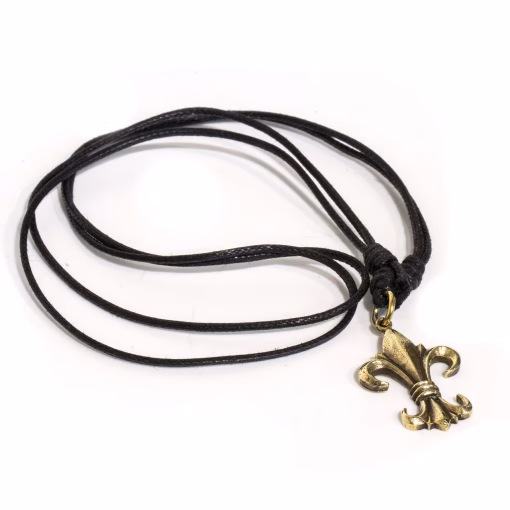 Fleur de lis hänge halsband